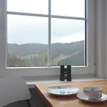 Uebermtal Apartment Schmallenberg