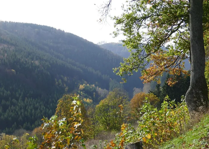 Uebermtal Apartment Schmallenberg